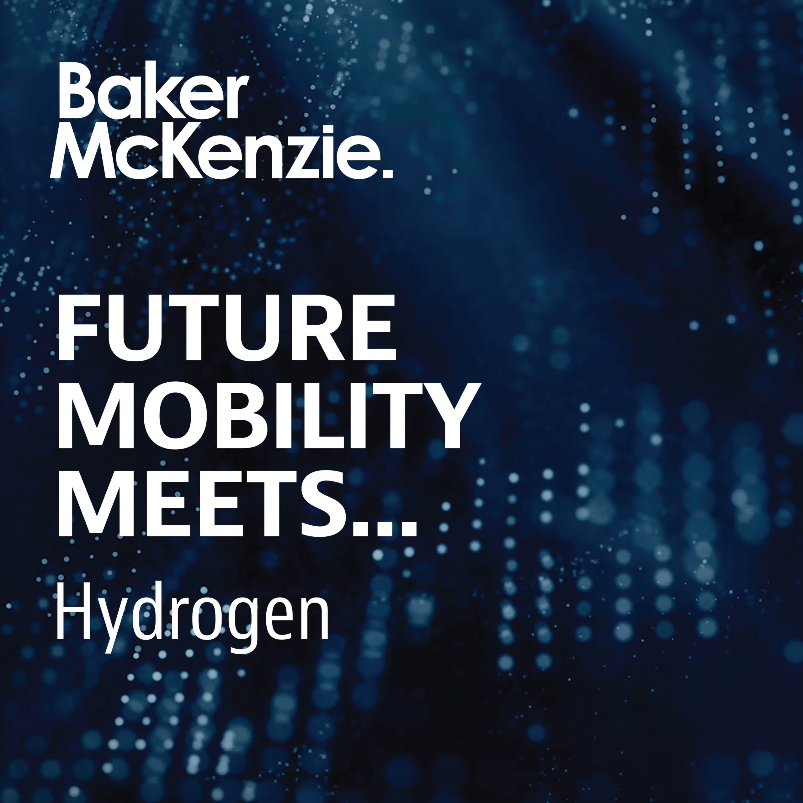 Baker McKenzie